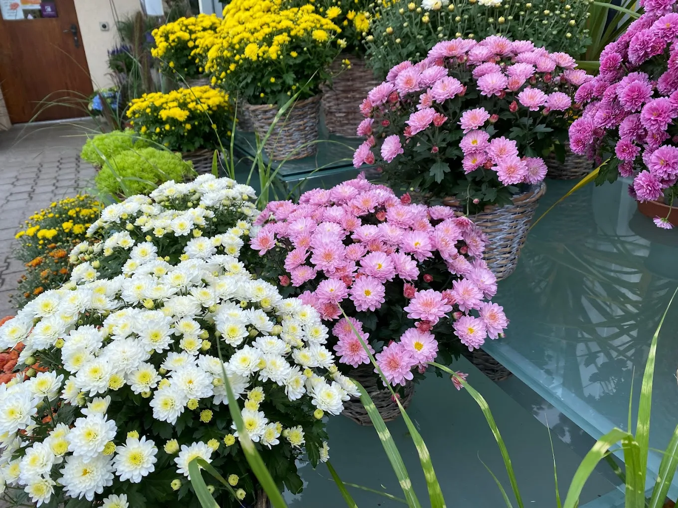 Herrmann Garten & Blumen AG, Florist Baar 6340