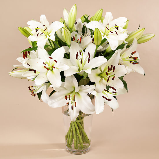 Weiße Lilie: majestätisches Lilienarrangement Zug